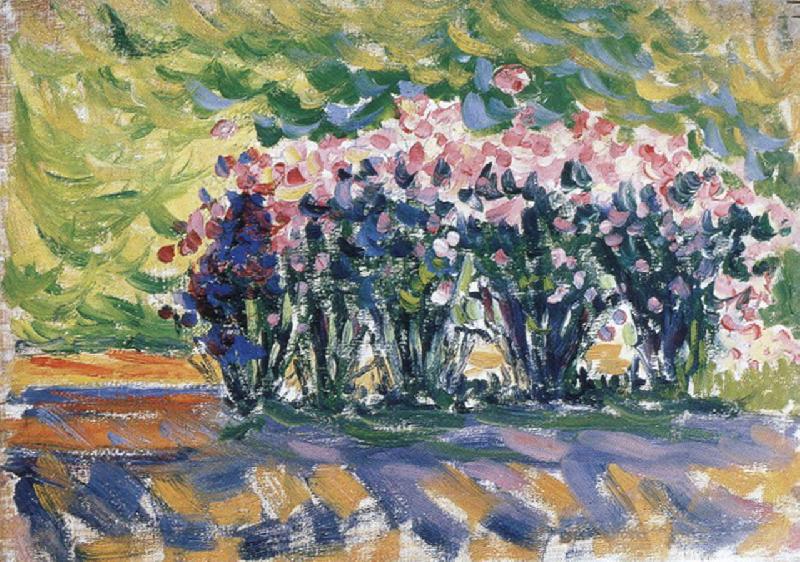 Paul Signac oleanders France oil painting art